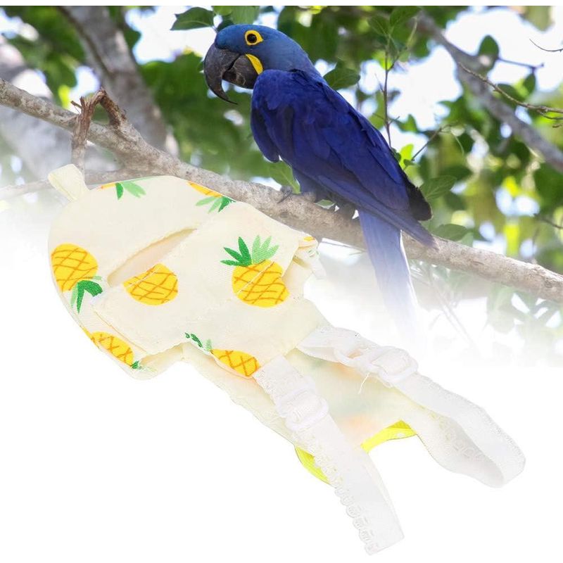 ZENITHMIND Oiseau de Compagnie Mignon Couche-Culotte,L,10*20CM