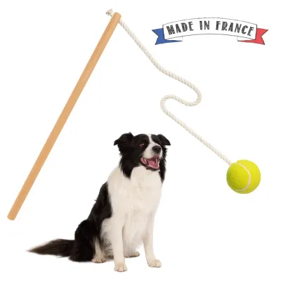Must&Co - Jouet Canne à Balle Interactif pour chien