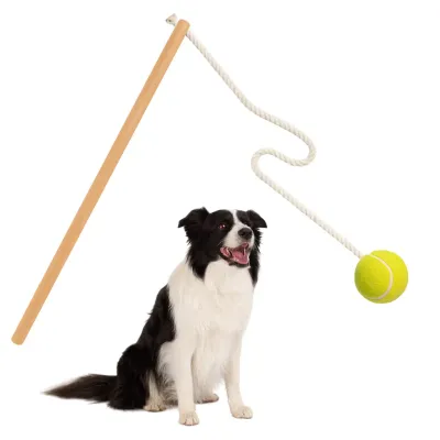 Must&Co - Jouet Canne à Balle Interactif pour chien