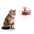 Qinhul Collier pour chat avec clochette