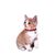 Qinhul Collier pour chat avec clochette