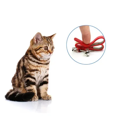 Qinhul Collier pour chat avec clochette