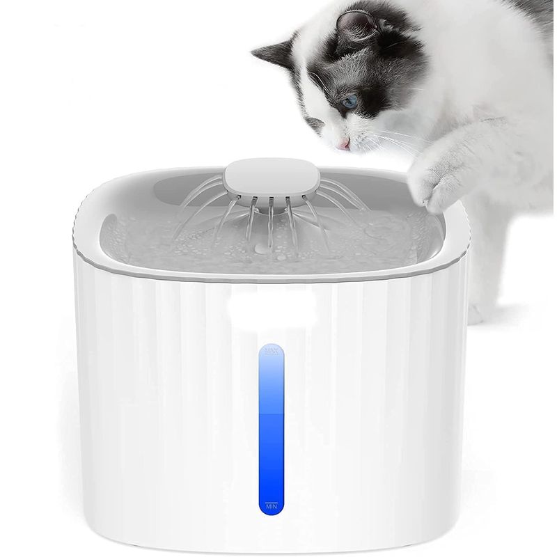 Qinhul Fontaine à eau automatique pour chat