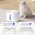 Qinhul Fontaine à eau automatique pour chat