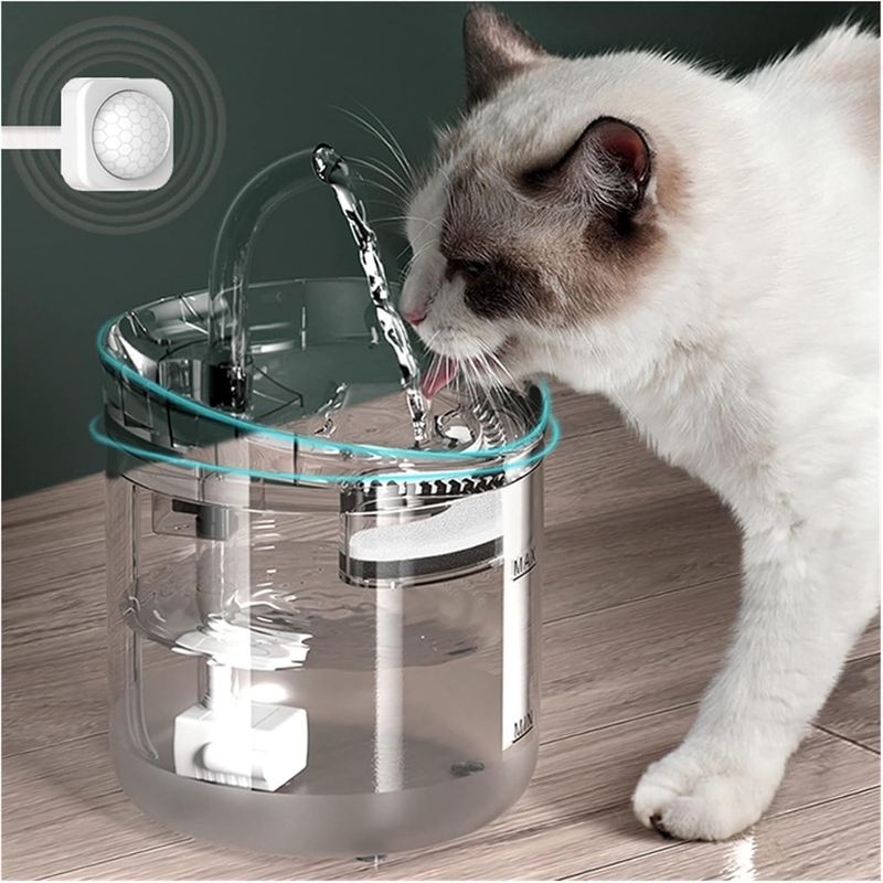 Qinhul Fontaine à eau automatique pour chat