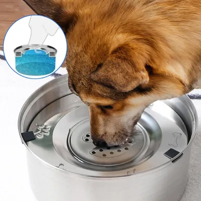 Qinhul Gamelle anti-éclaboussures pour chien