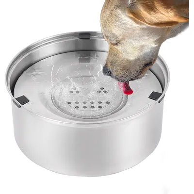 Qinhul Gamelle anti-éclaboussures pour chien