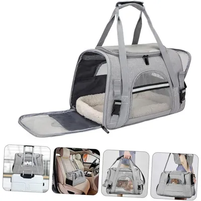 Qinhul Sac à dos pliable et portable pour chat