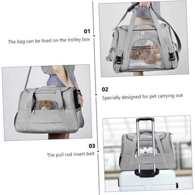 Qinhul Sac à dos pliable et portable pour chat