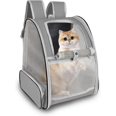Qinhul Sac à dos en maille respirante pour chat