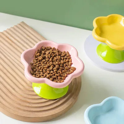 Qinhul Gamelle surélevée en céramique pour chat en forme de fleur