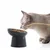 Qinhul Gamelle surélevée pour chat et chien