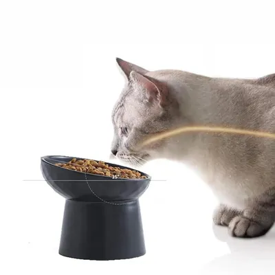 Qinhul Gamelle surélevée pour chat et chien