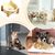 Qinhul Gamelle en porcelaine pour chat