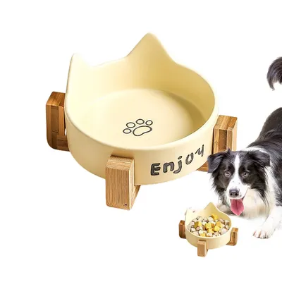 Qinhul Gamelle en porcelaine pour chat