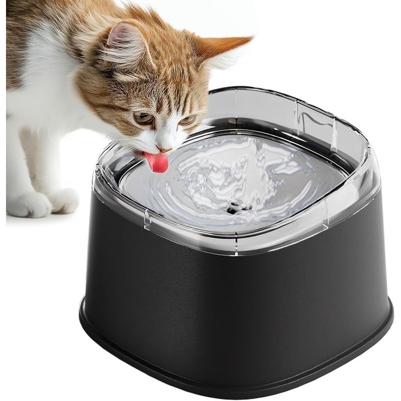 Qinhul Gamelle anti-déversement pour chat et chien