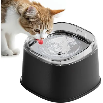 Qinhul Gamelle anti-déversement pour chat et chien