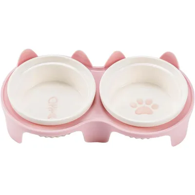 Qinhul Gamelle double surélevée pour chat