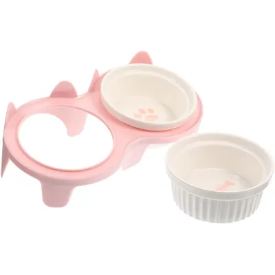 Qinhul Gamelle double surélevée pour chat