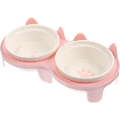 Qinhul Gamelle double surélevée pour chat