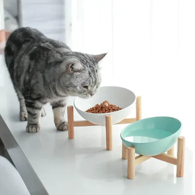Qinhul Gamelle inclinée pour chat et chien avec support amovible
