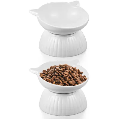 Qinhul Gamelle surélevée en céramique pour chat