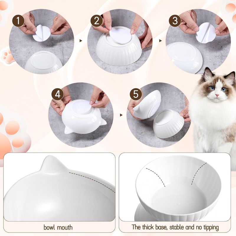 Qinhul Gamelle surélevée en céramique pour chat
