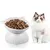 Qinhul Gamelle surélevée en céramique pour chat