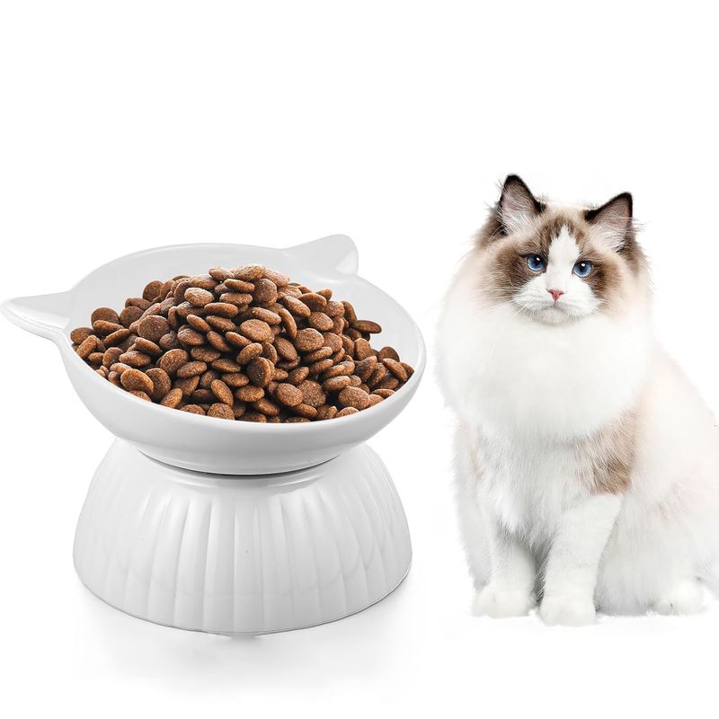 Qinhul Gamelle surélevée en céramique pour chat