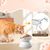 Qinhul Gamelle surélevée en céramique pour chat