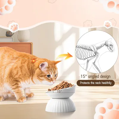 Qinhul Gamelle surélevée en céramique pour chat