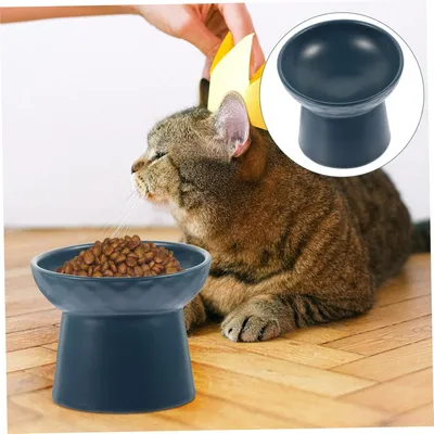 Qinhul Gamelle surélevée pour chat et chien