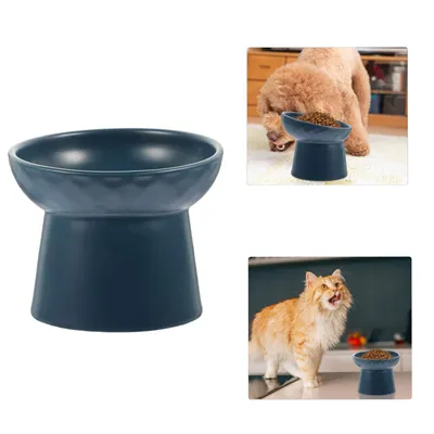 Qinhul Gamelle surélevée pour chat et chien