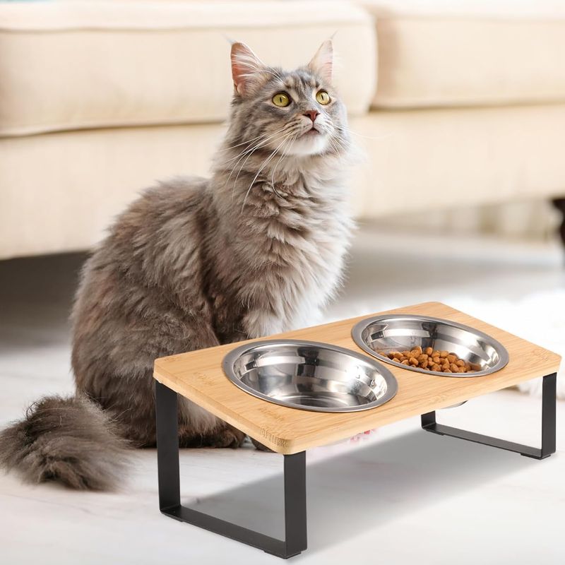 Qinhul Gamelle surélevée en acier inoxydable pour chat