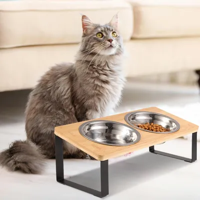 Qinhul Gamelle surélevée en acier inoxydable pour chat