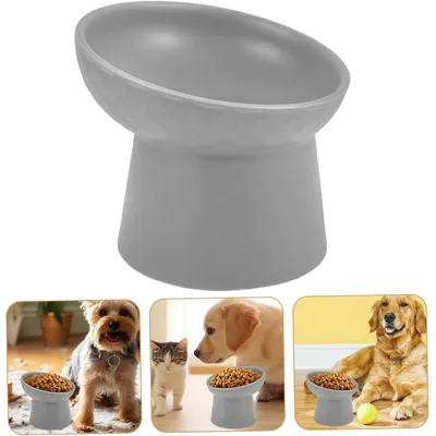 Qinhul Gamelle surélevée pour chat et chien