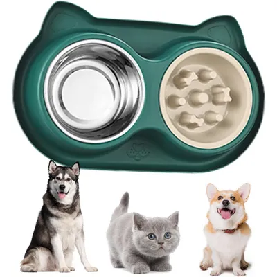 Qinhul Gamelle pour chat et chien