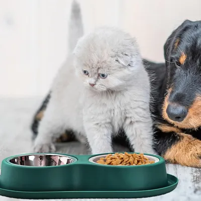 Qinhul Gamelle pour chat et chien
