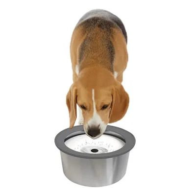 Qinhul Gamelle d'eau anti-déversement pour chien