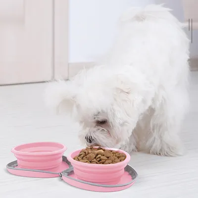 Qinhul Gamelle pliable pour chien
