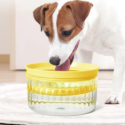 Qinhul Gamelle d'eau pour chien anti-éclaboussures