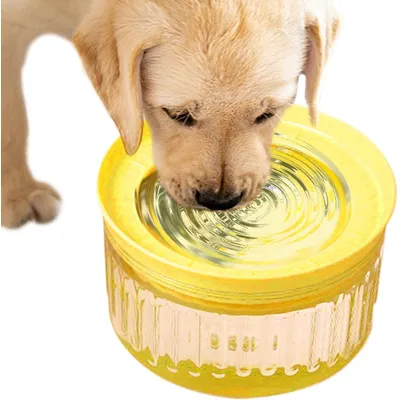 Qinhul Gamelle d'eau pour chien anti-éclaboussures