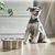 Qinhul Gamelle en acier inoxydable pour chat et chien