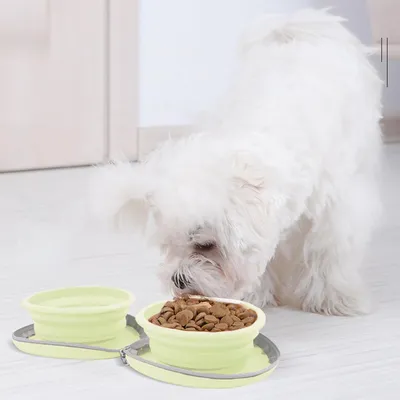 Qinhul cuenco plegable para perros