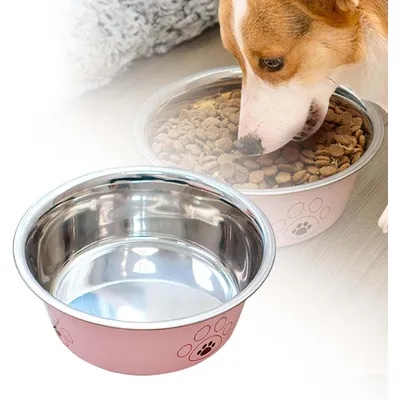 Qinhul Gamelle pour chien en acier inoxydable