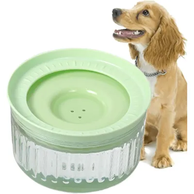 Qinhul Gamelle d'eau pour chien anti-éclaboussures
