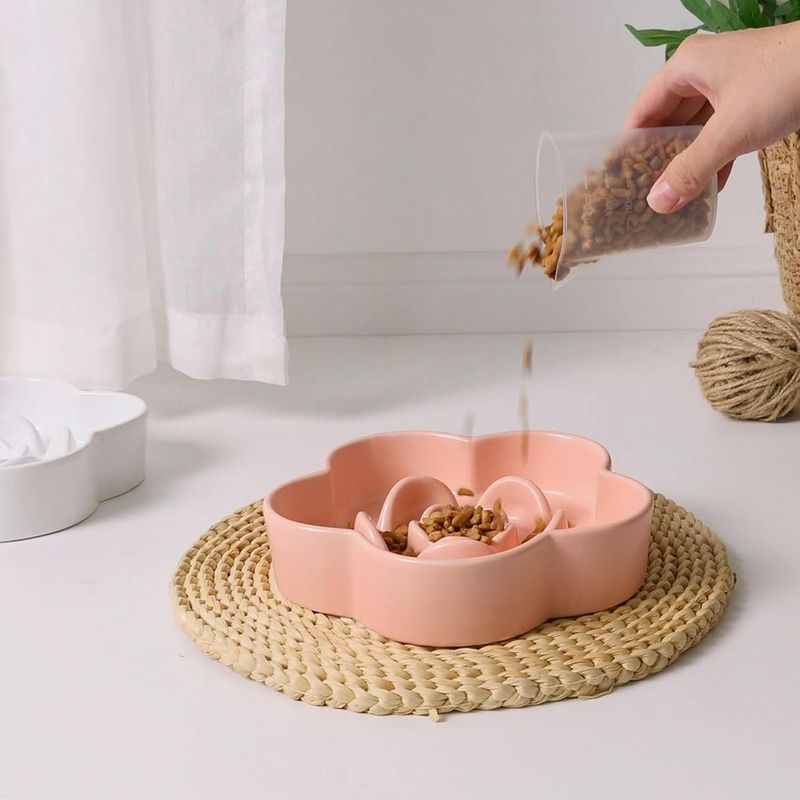 Qinhul Gamelle en céramique à alimentation lente pour chien