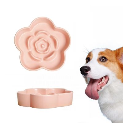 Qinhul Gamelle en céramique à alimentation lente pour chien