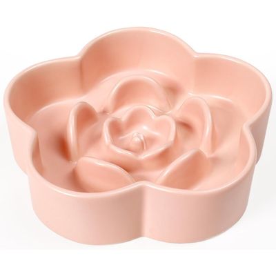Qinhul Gamelle en céramique à alimentation lente pour chien