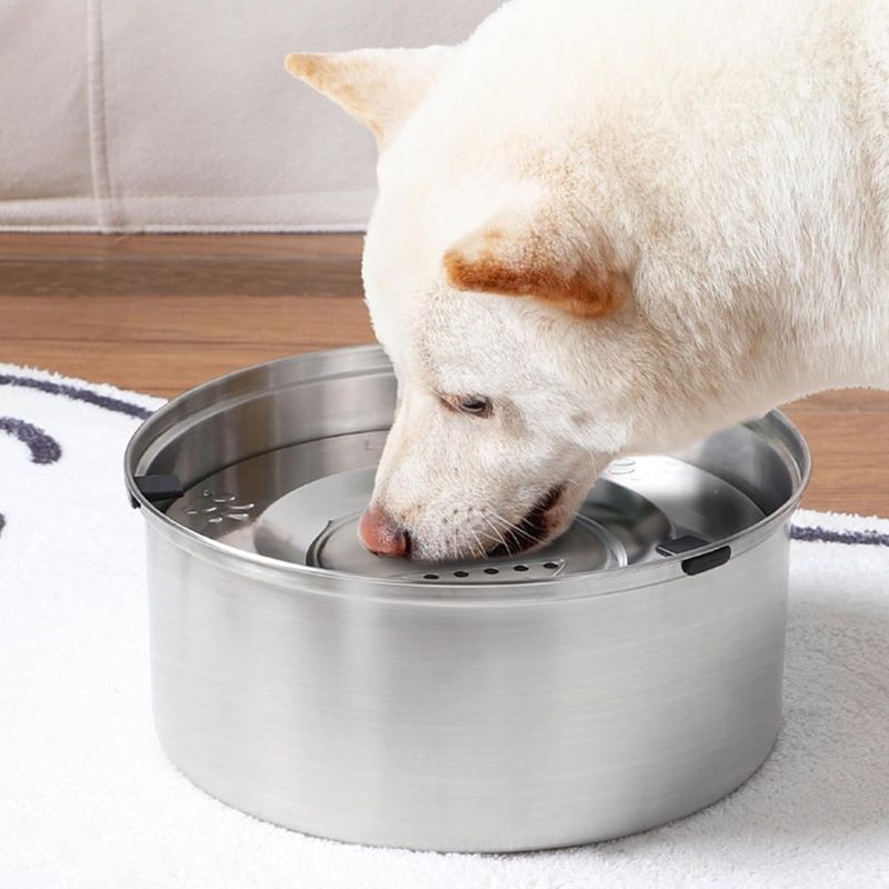 Qinhul Fontaine à eau pour chien en acier inoxydable